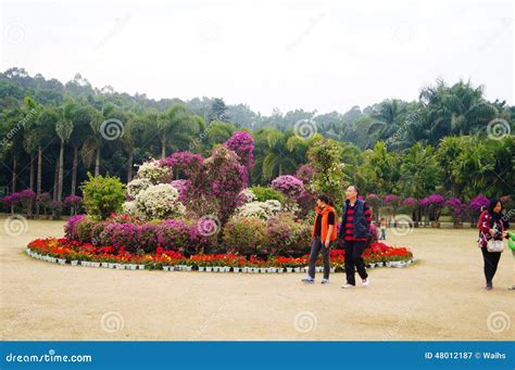 深圳哪個公園有荷花：探索荷香四溢的城市綠洲